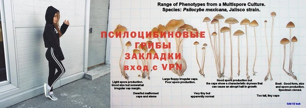 герыч Кинешма