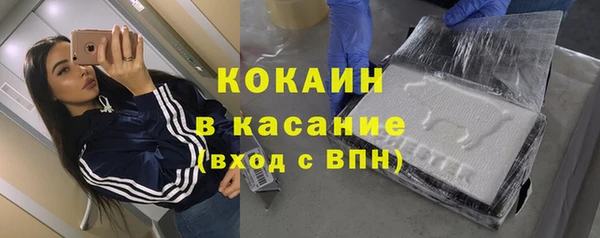 крисы Баксан
