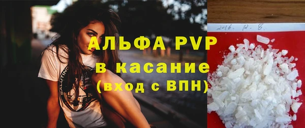 крисы Баксан