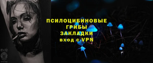 крисы Баксан