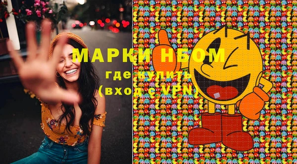 крисы Баксан